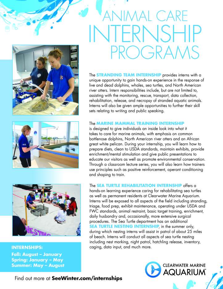 Internship Flyer-H – UC San Diego – Biology Bulletin